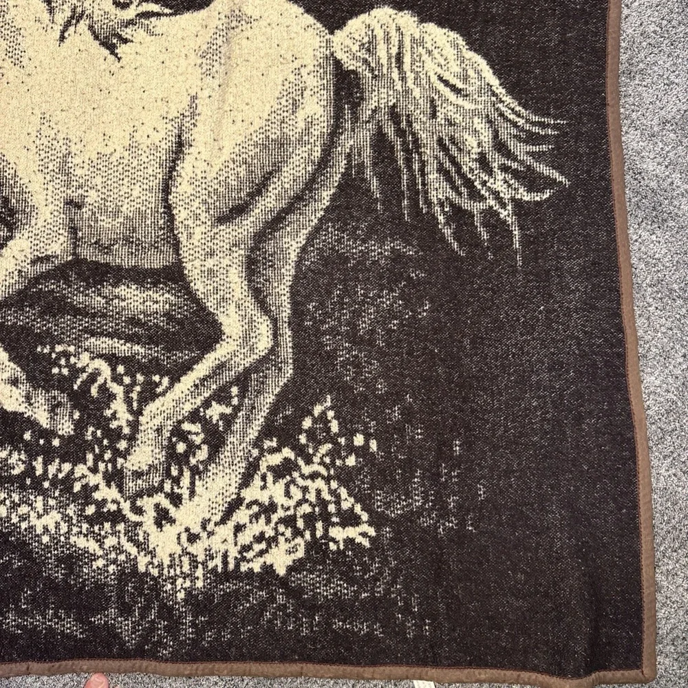76x50